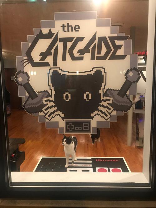 Blog Cat Cafe Arcade Like Catnip For Cat Lovers In Chicago S Lakeview Neighborhood Culture And Craft In Northwest Indiana Nwitimes Com Blog Cat Cafe Arcade Like Catnip For Cat Lovers In Chicago S Lakeview Neighborhood Culture And Craft In Northwest Indiana Nwitimes Com