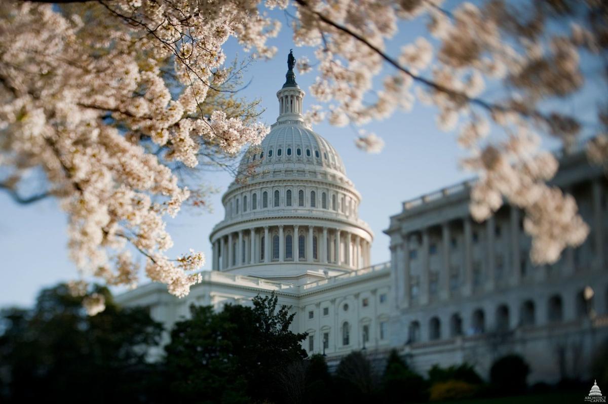 U.S. Capitol Building