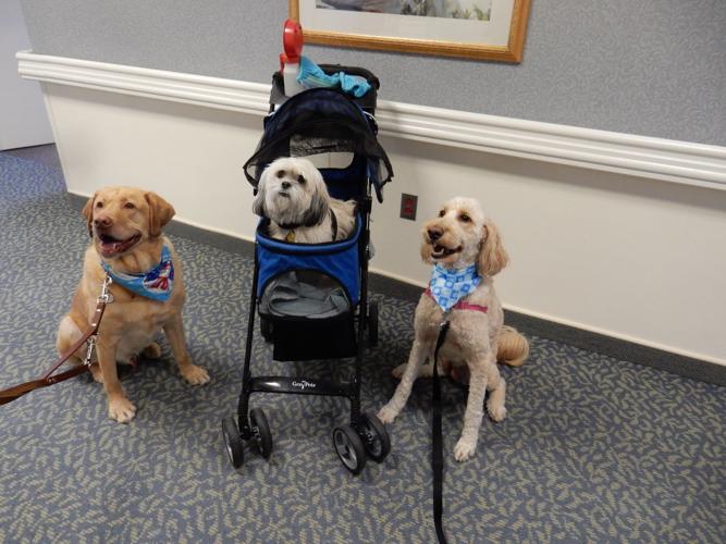 NWI vet, retirement home detail benefits of pets to seniors