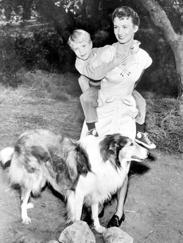 Lassie Come Home The Spokesman-Review