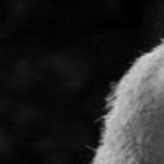 Lawrence A Reese Larry Local Obituaries Nwitimes Com Larry reese is the author of being intimate with god (4.80 avg rating, 5 ratings, 1 review, published 2006), surrender (5.00 avg rating, 2 ratings, 1 rev. lawrence a reese larry local