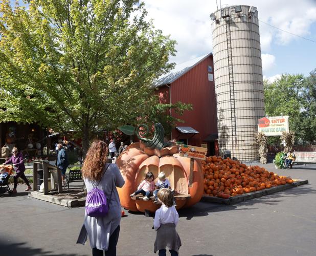 For more than 40 years, Bengtson's has harvested fall memories and fun in Homer Glen