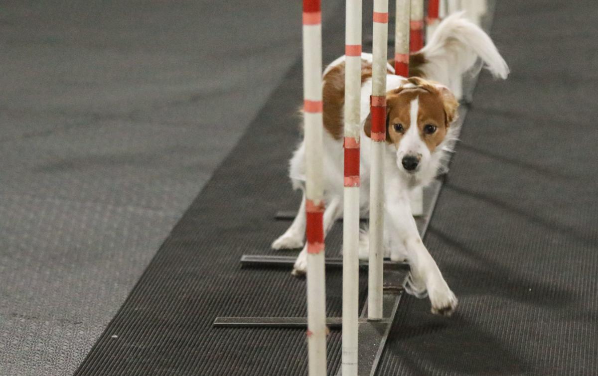 Valparaiso doctor's search for a hobby turns into major ...