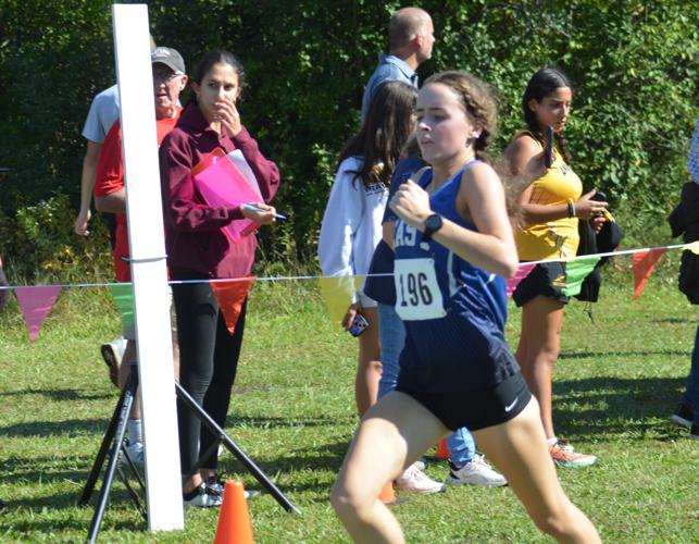 Big wins in cross-country invitational position Lincoln-Way East boys and girls for state success