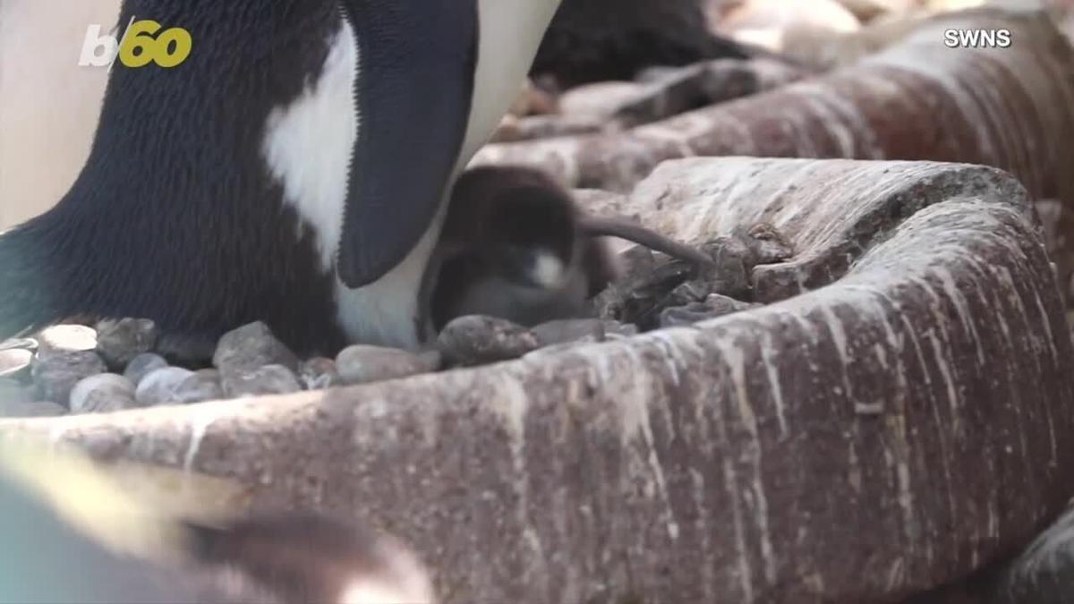 Jim And Betty Dye Scholarship2