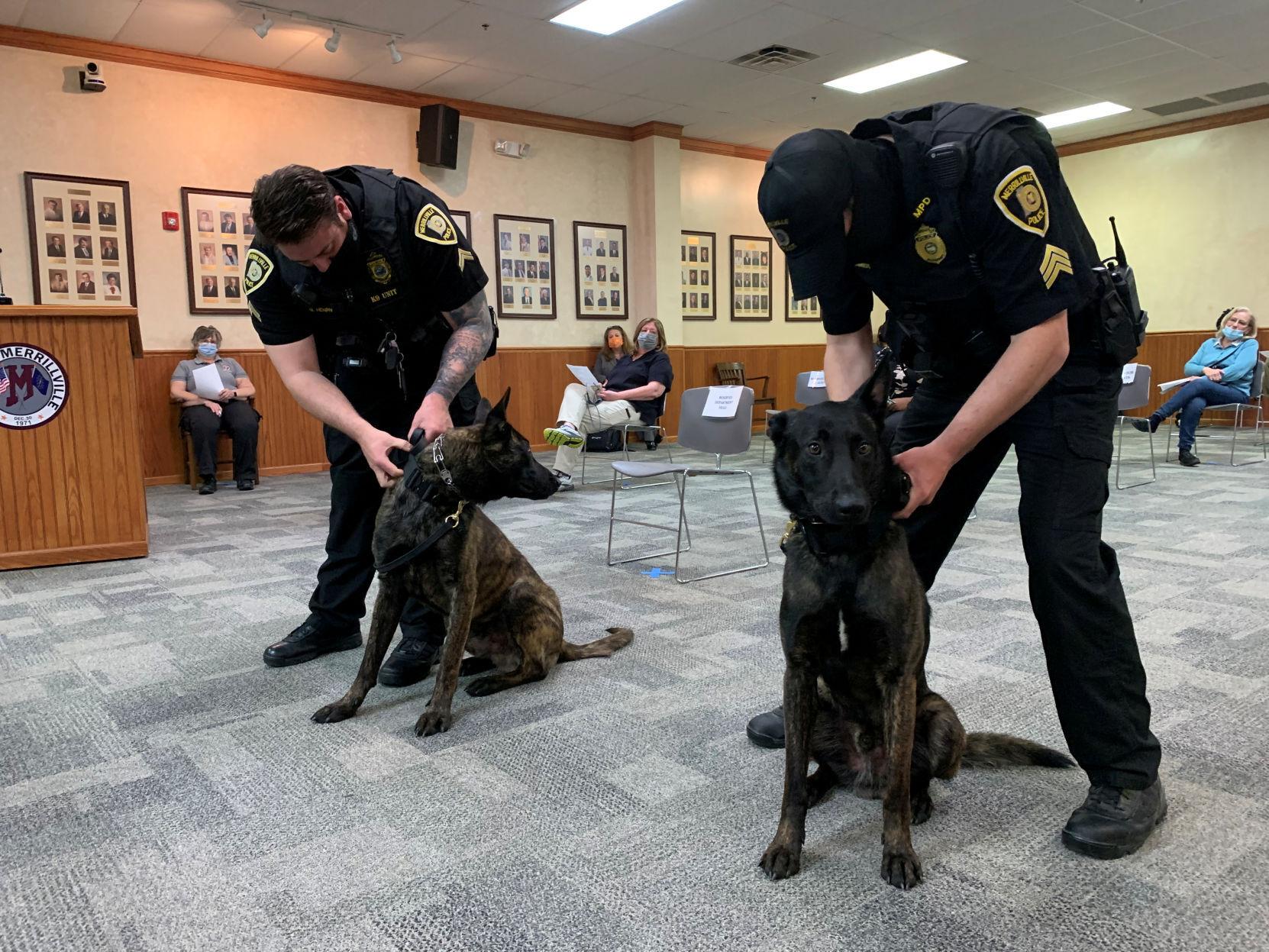 Merrillville Adds K 9s To Police Force Local News Nwitimes Com Merrillville Adds K 9s To Police Force Local News Nwitimes Com