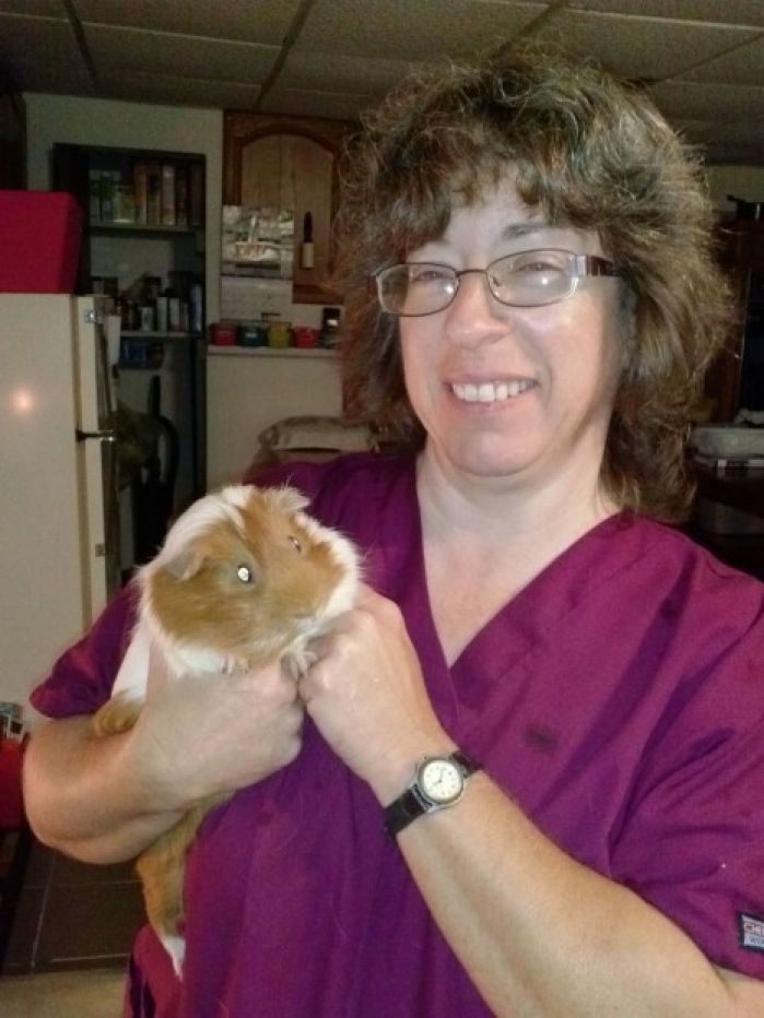 critter corral guinea pig rescue