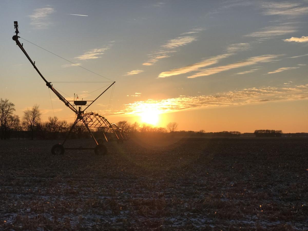 Farm at sunset