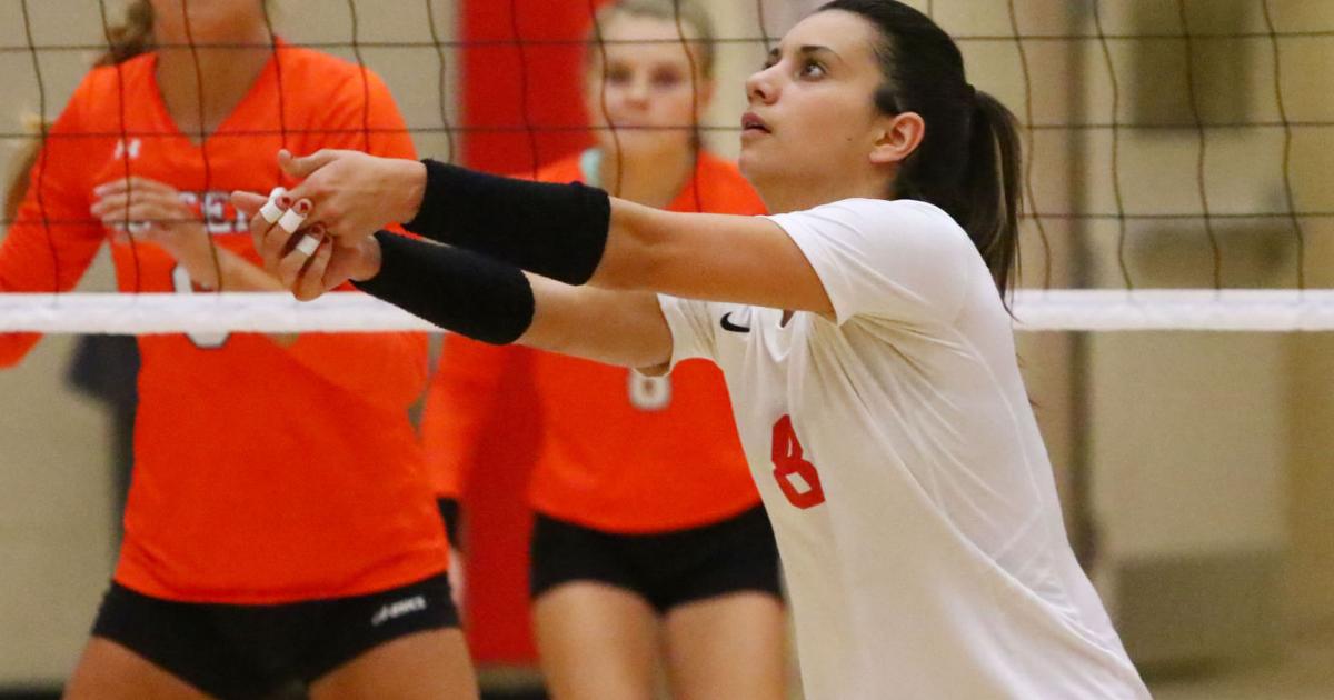 GIRLS VOLLEYBALL Crown Point girls volleyball hires new head coach