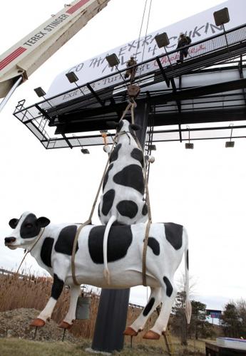 chick fil a cow sign