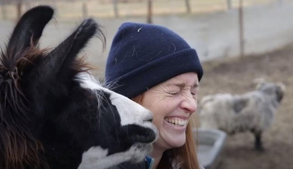 Midwest Vegans Push Upside To Downturn In Meat Supply Chain