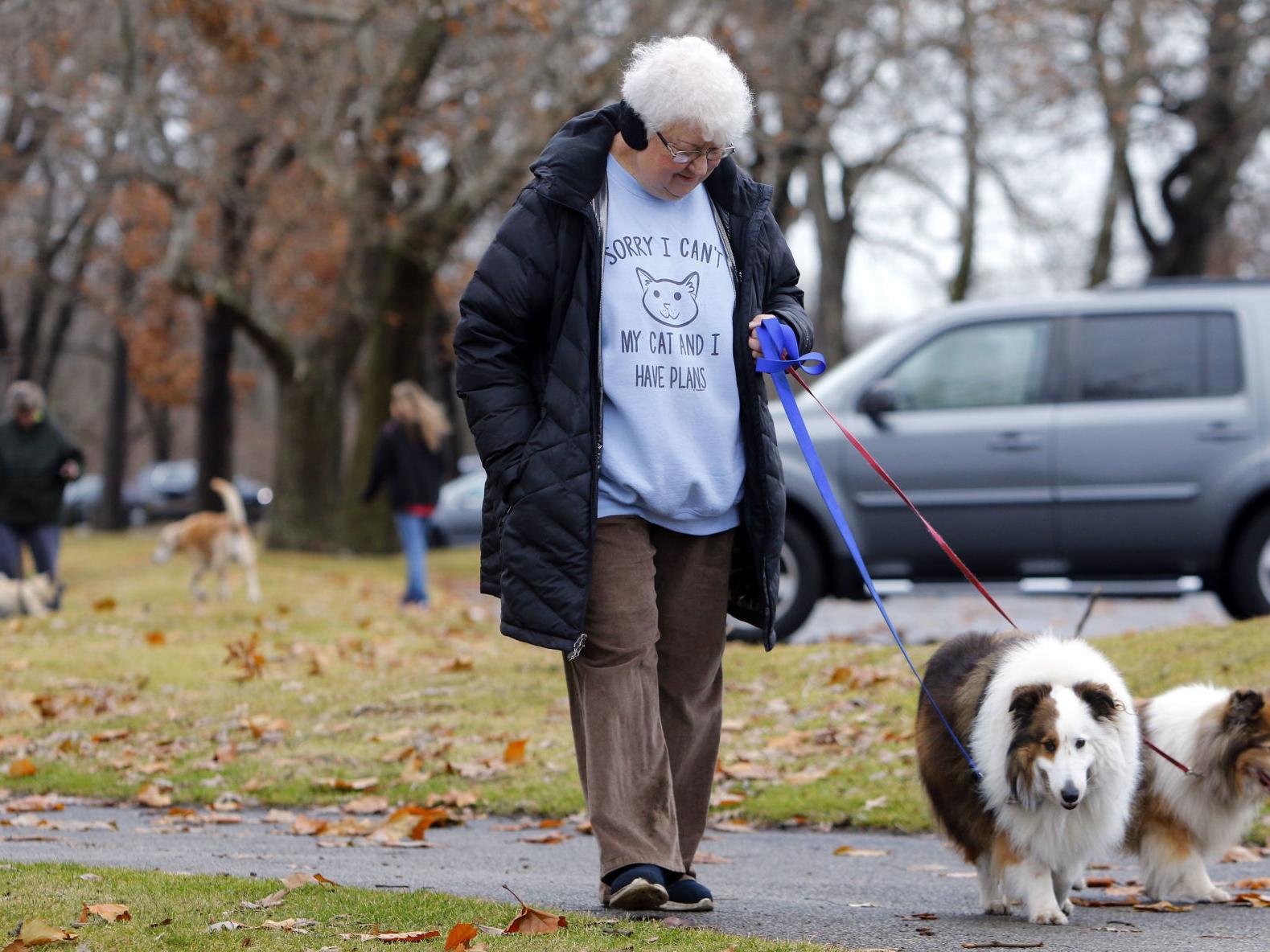 Care Urged For Pets Exposed To Covid 19 Local News Nwitimes Com
