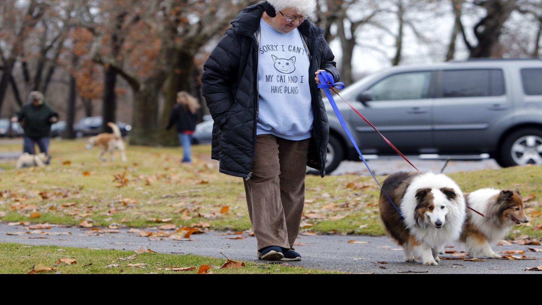 Care Urged For Pets Exposed To Covid 19 Local News Nwitimes Com