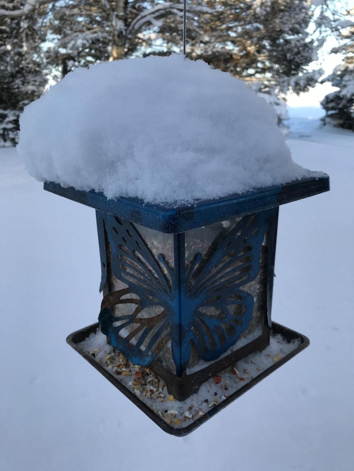 Snow 2018
