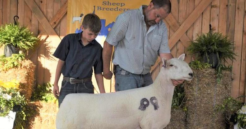Ram hailed for producing champion offspring - Vimarsana News