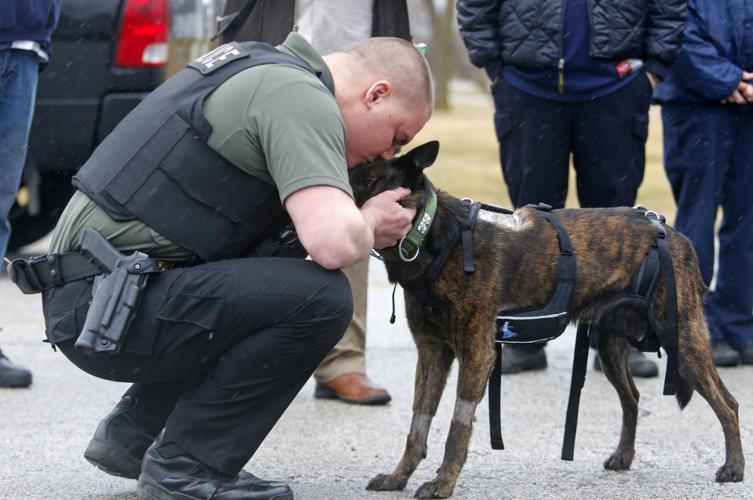 K-9 Kane released from hospital after stabbing