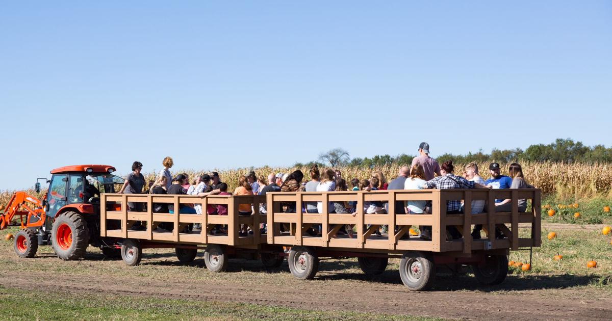 Hay Rides Wa Fall fun in the Region includes hayrides