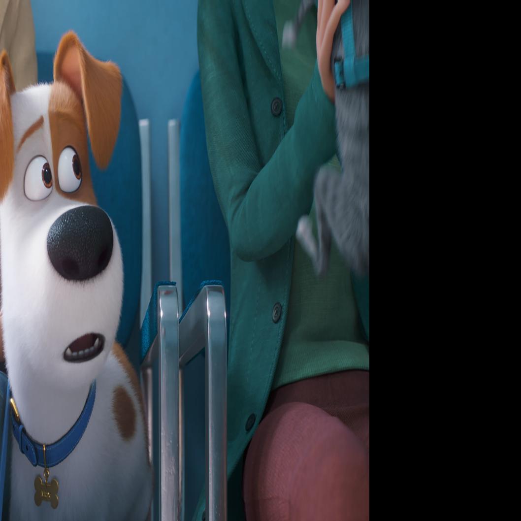 Review The Secret Life Of Pets 2 Is A Well Crafted Sequel