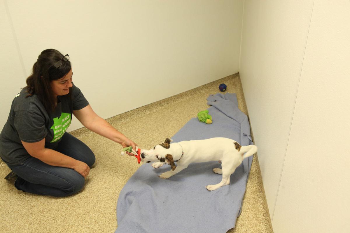 Alsip To The Rescue Provides A Safe Haven In St John Lifestyles Alsip To The Rescue Provides A Safe Haven In St John