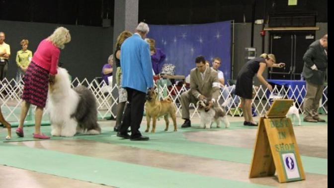 AKC dog show planned at Expo Center | Valparaiso News | nwitimes.com