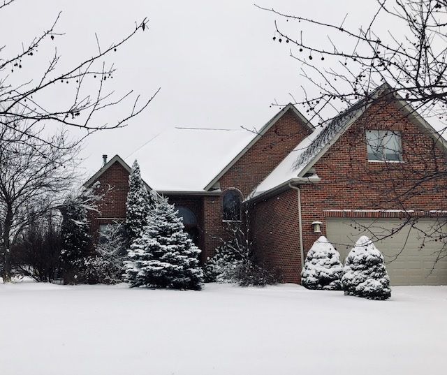 Snow 2018