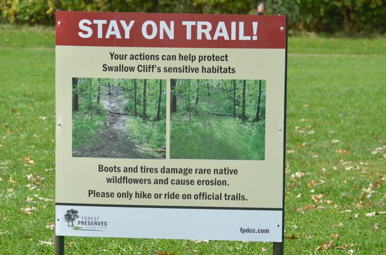 Forest preserves tap Swallow Cliff for  pilot program to keep hikers on trails