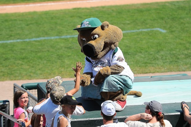 RailCats Announce 2023 Coaching Staff