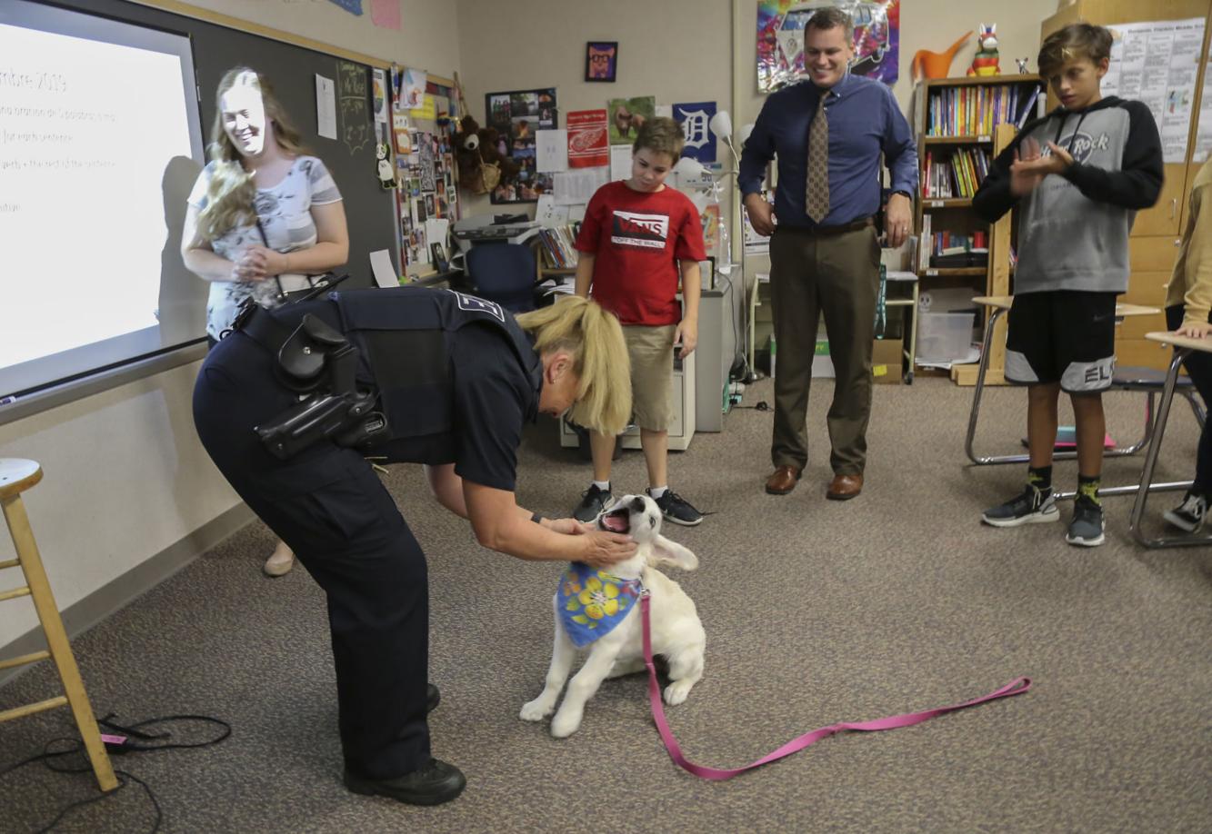 Puppies in Valparaiso schools provide #39 heeling #39 presence