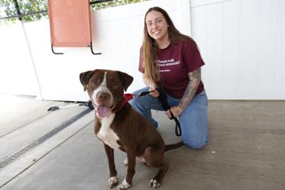 Get Healthy: Wearable devices come to rescue when your pet goes missing