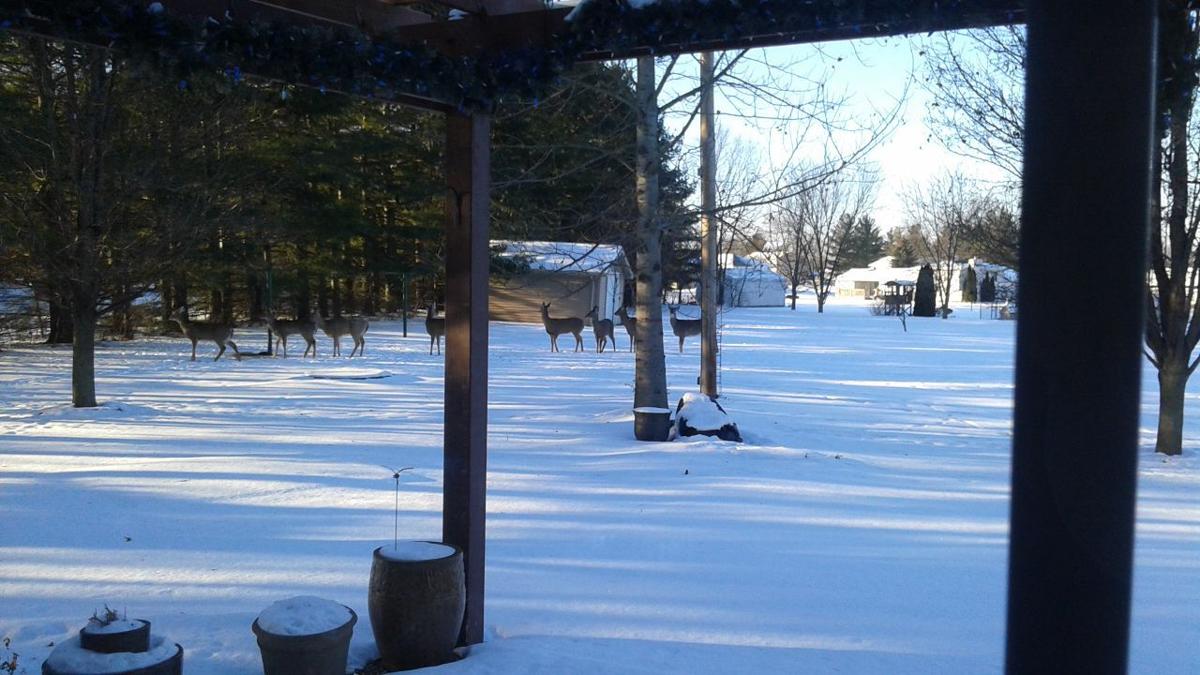 Snow 2018