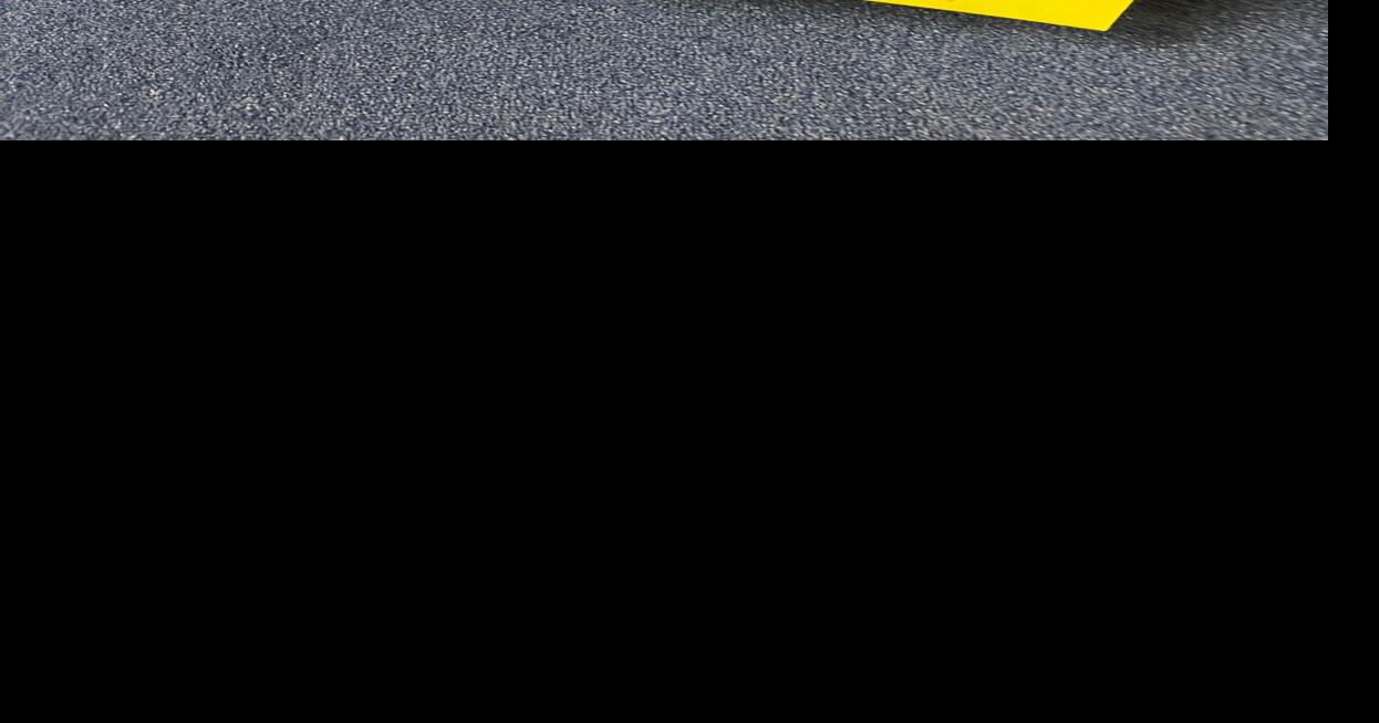 Emotional support pup to help students relieve stress, increase social