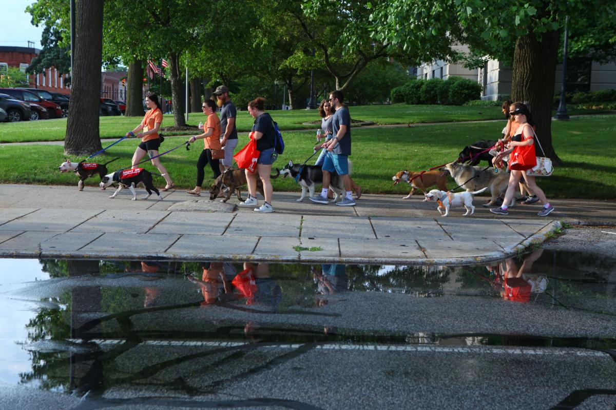 061817-nws-pupcrawl 1.JPG