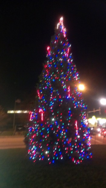 Chicago Heights Resident Donates 45 Foot Pine Tree To City Chicago Heights Resident Donates 45 Foot Pine Tree To City
