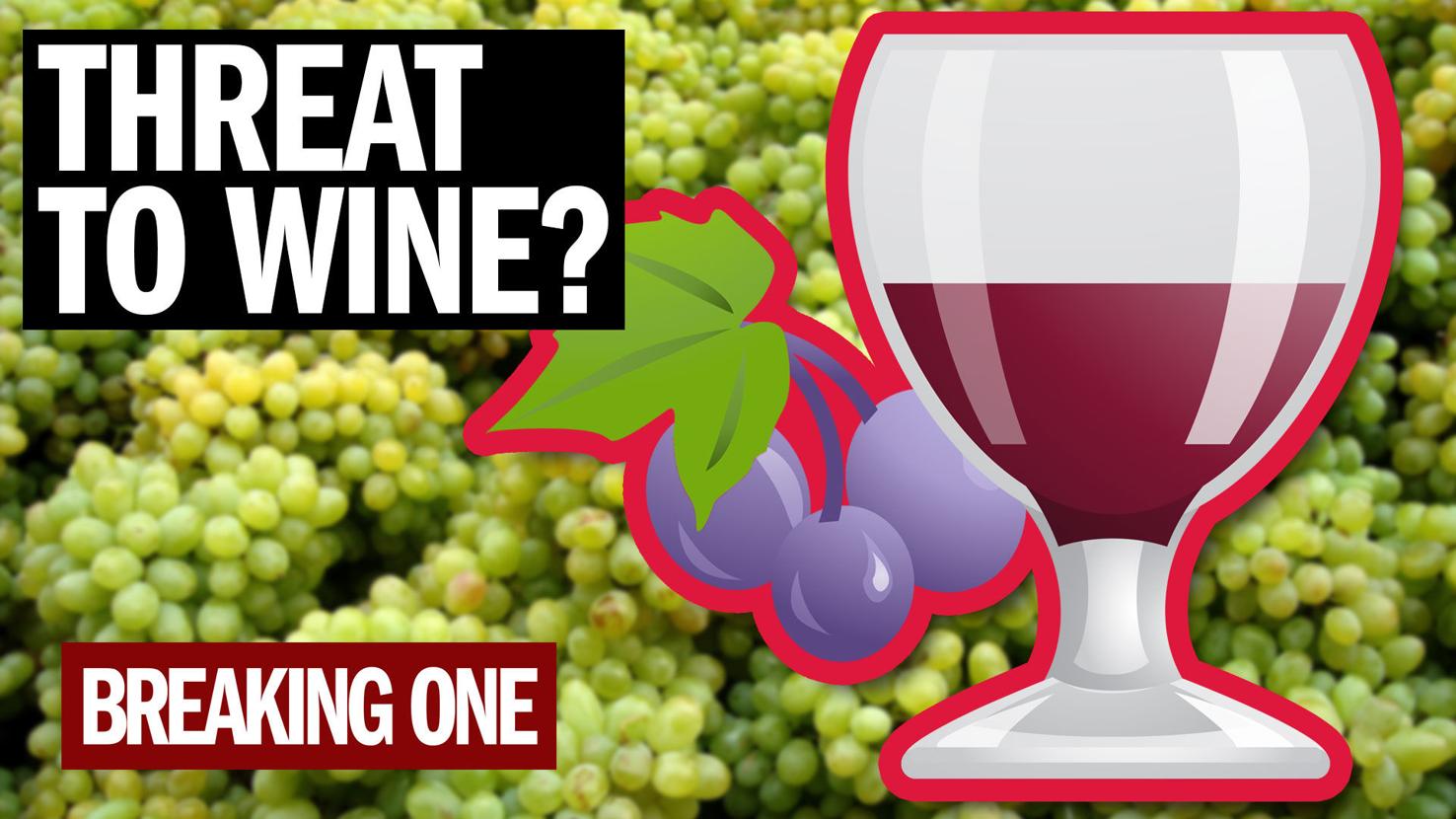 Climate Change is Affecting Wine Production