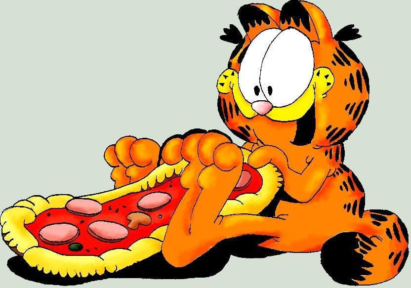 garfield eating food