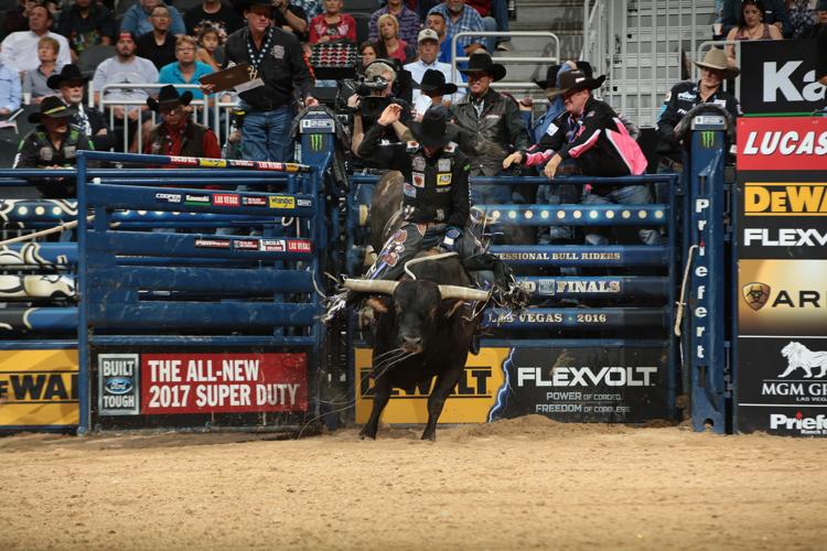 PBR comes to Chicagoland for three days of excitement