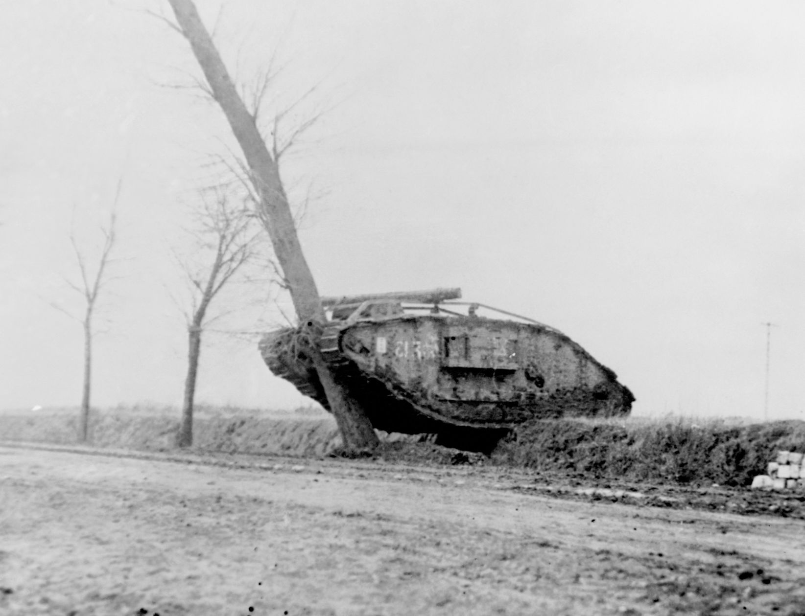 tanks in large number were first used by the british at the battle of