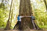 4 Cheap Ways to Be an Eco-Conscious Traveler