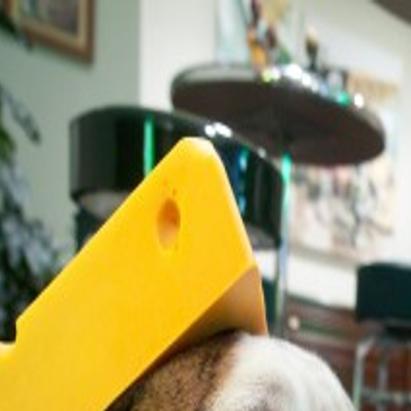 Valpo Couple Whose Basement Serves As A Packers Shrine Heading To Super Bowl Xlv Super Bowl Nwitimes Com