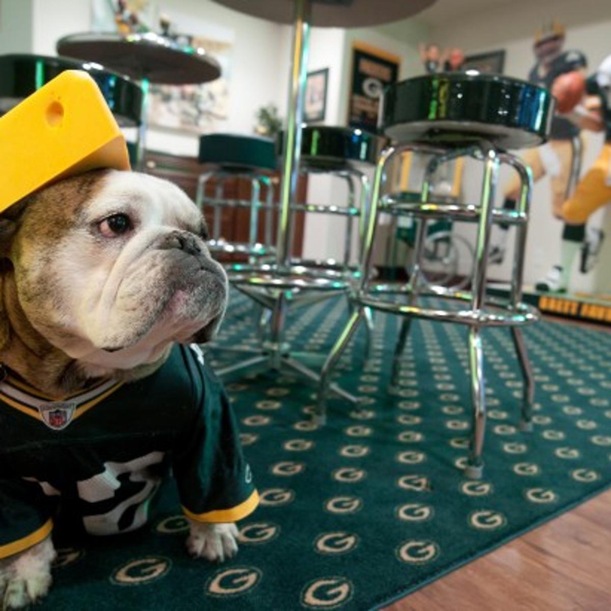 Valpo Couple Whose Basement Serves As A Packers Shrine Heading To Super Bowl Xlv Super Bowl Nwitimes Com