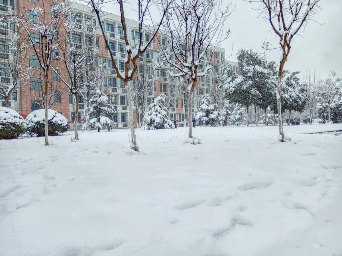 Winter Storm