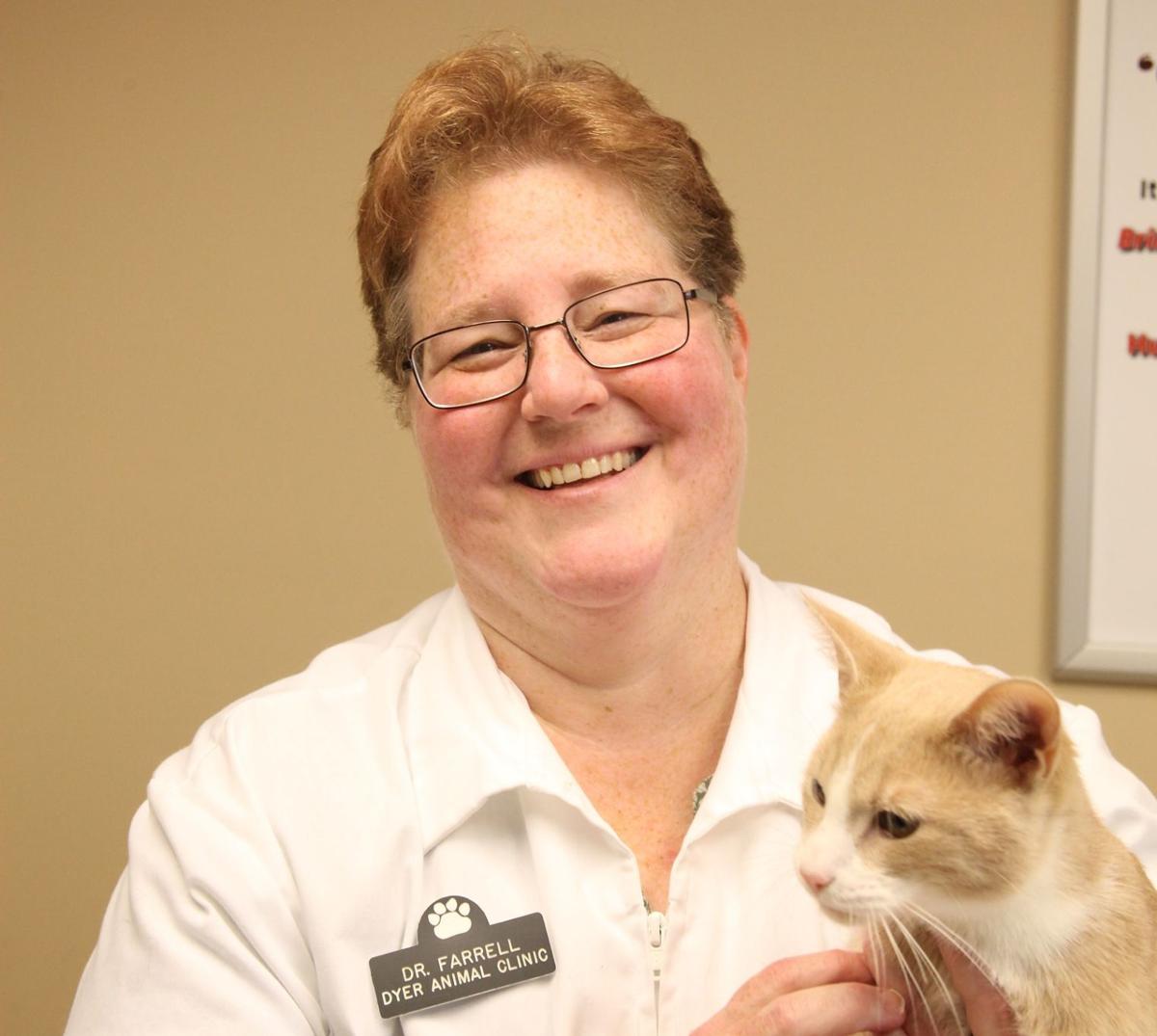 Holiday safety for four-legged family members