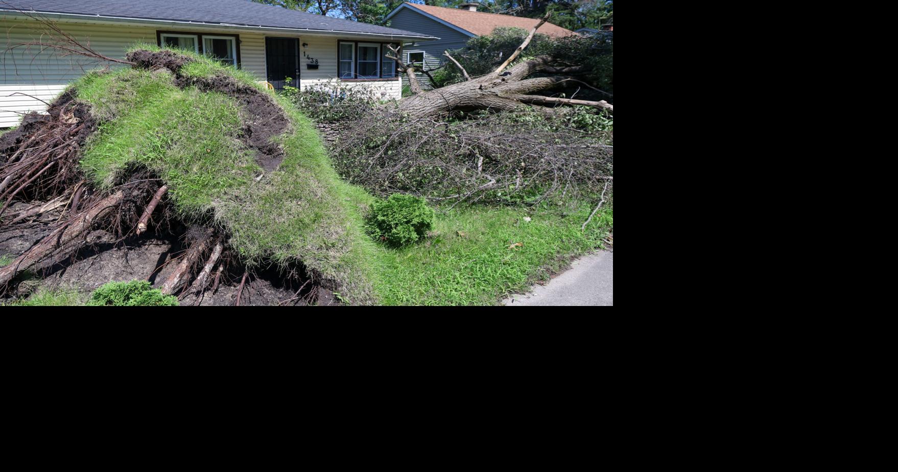 Derecho cleanup crews to begin removing debris across LaPorte County