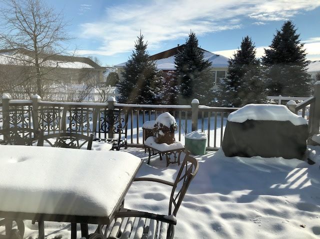 Snow 2018