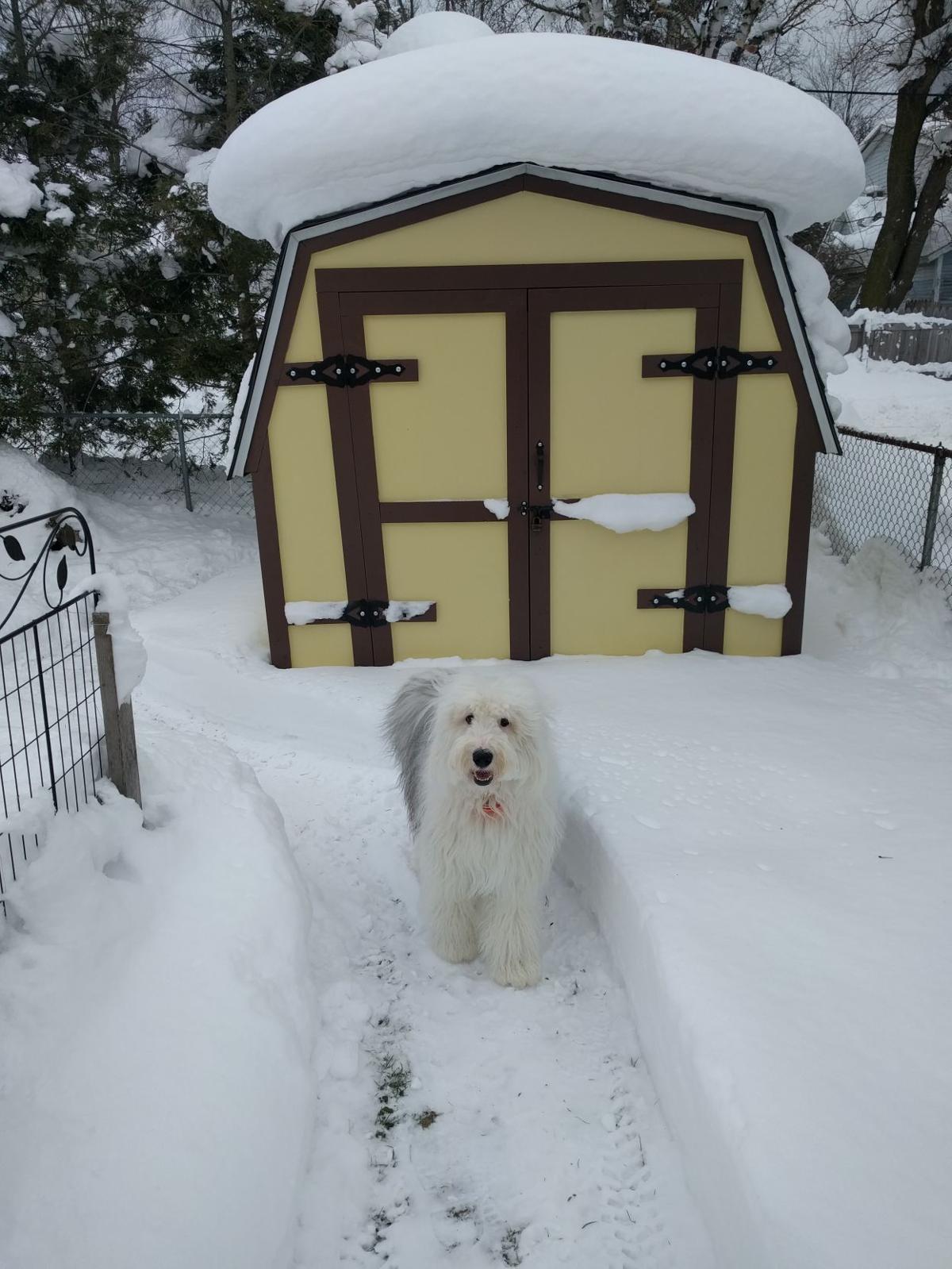Snow 2018