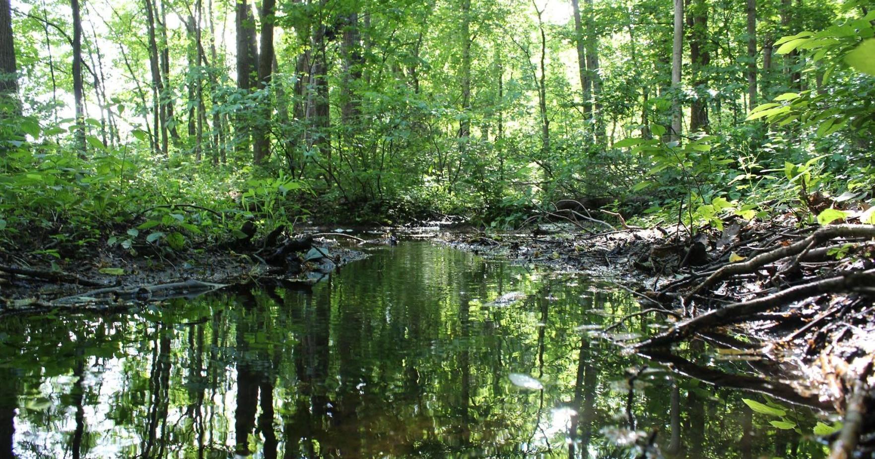 Shirley Heinze Land Trust seeks volunteers at Meadowbrook Nature Preserve - Vimarsana News