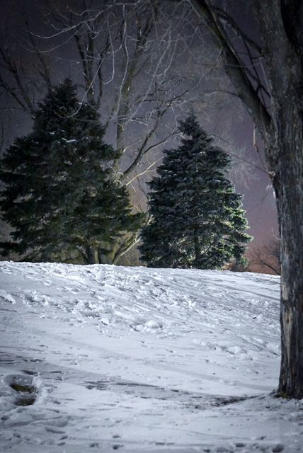Snow 2018
