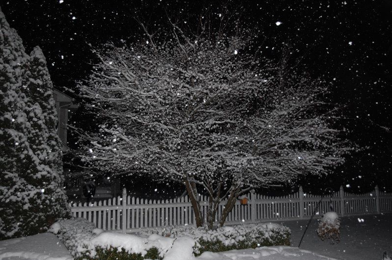 Snow 2018
