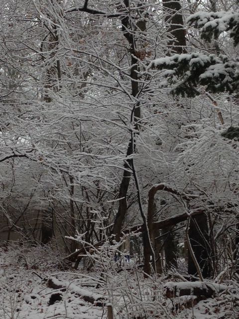 Snow 2018