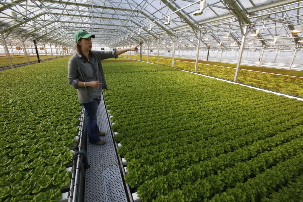 Grass Is Greener Campaign Looks To Lure Illinois Residents To